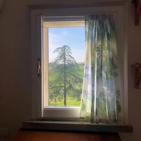 Among Vignards, Sun Set