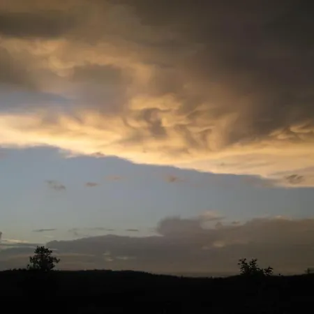 Among Vignards, Sun Set *