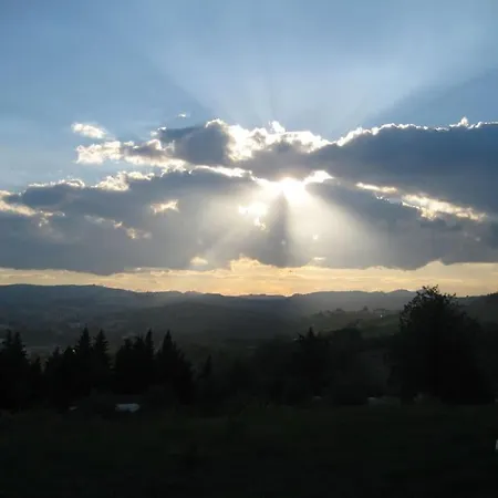 Among Vignards, Sun Set